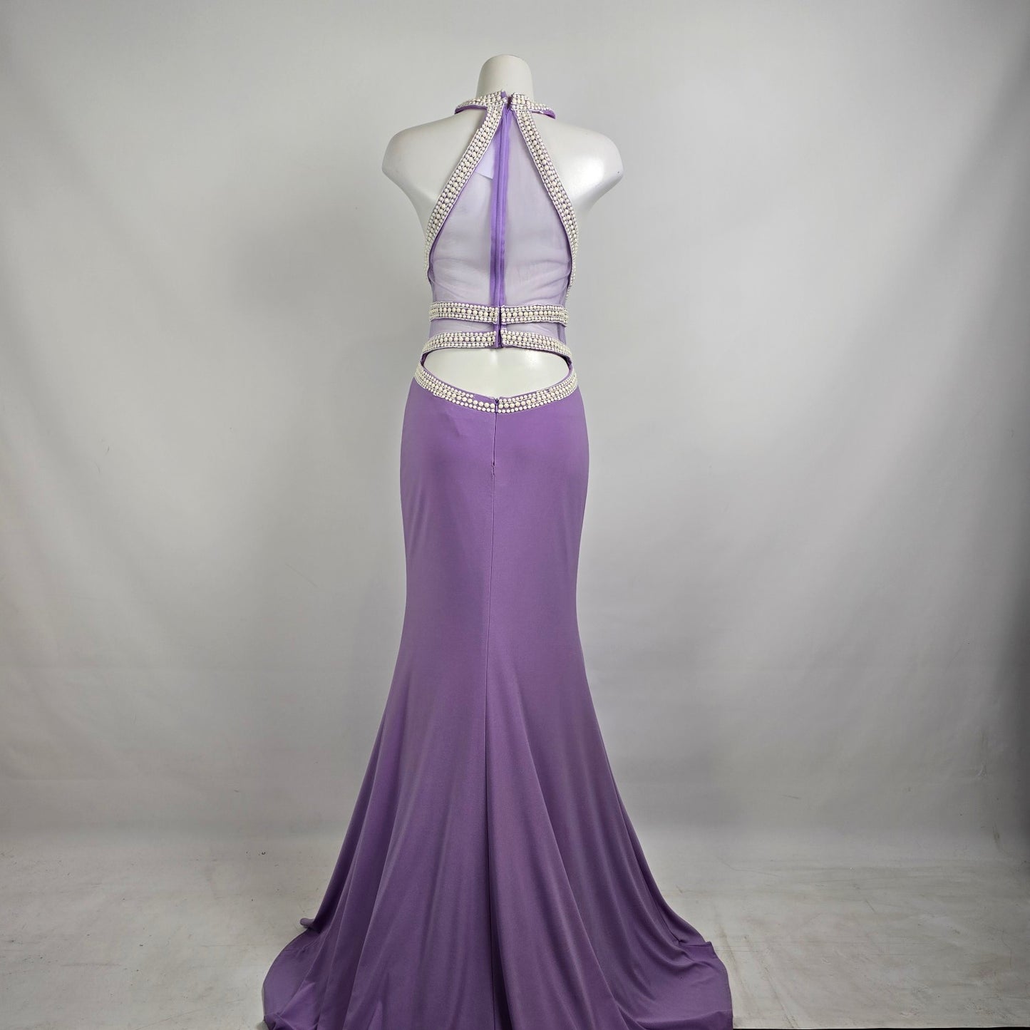 Lucci Lu Purple & White Beaded Grad Eventwear Gown Size 8