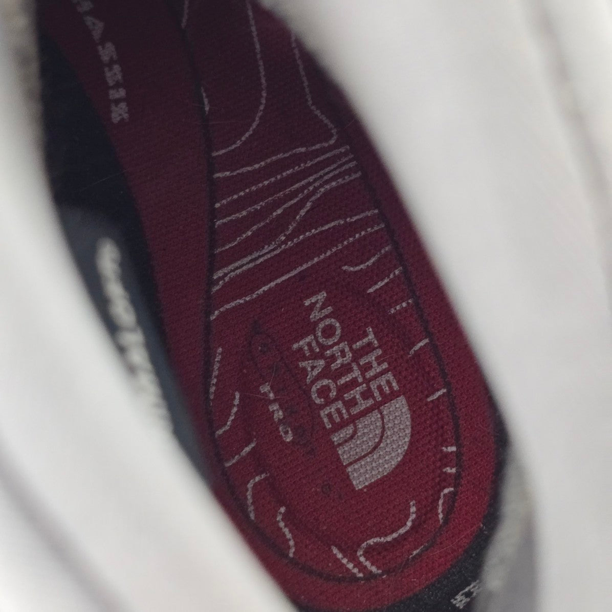 The North Face Gore-Tex Purple & Grey Hiking Boots Size 10