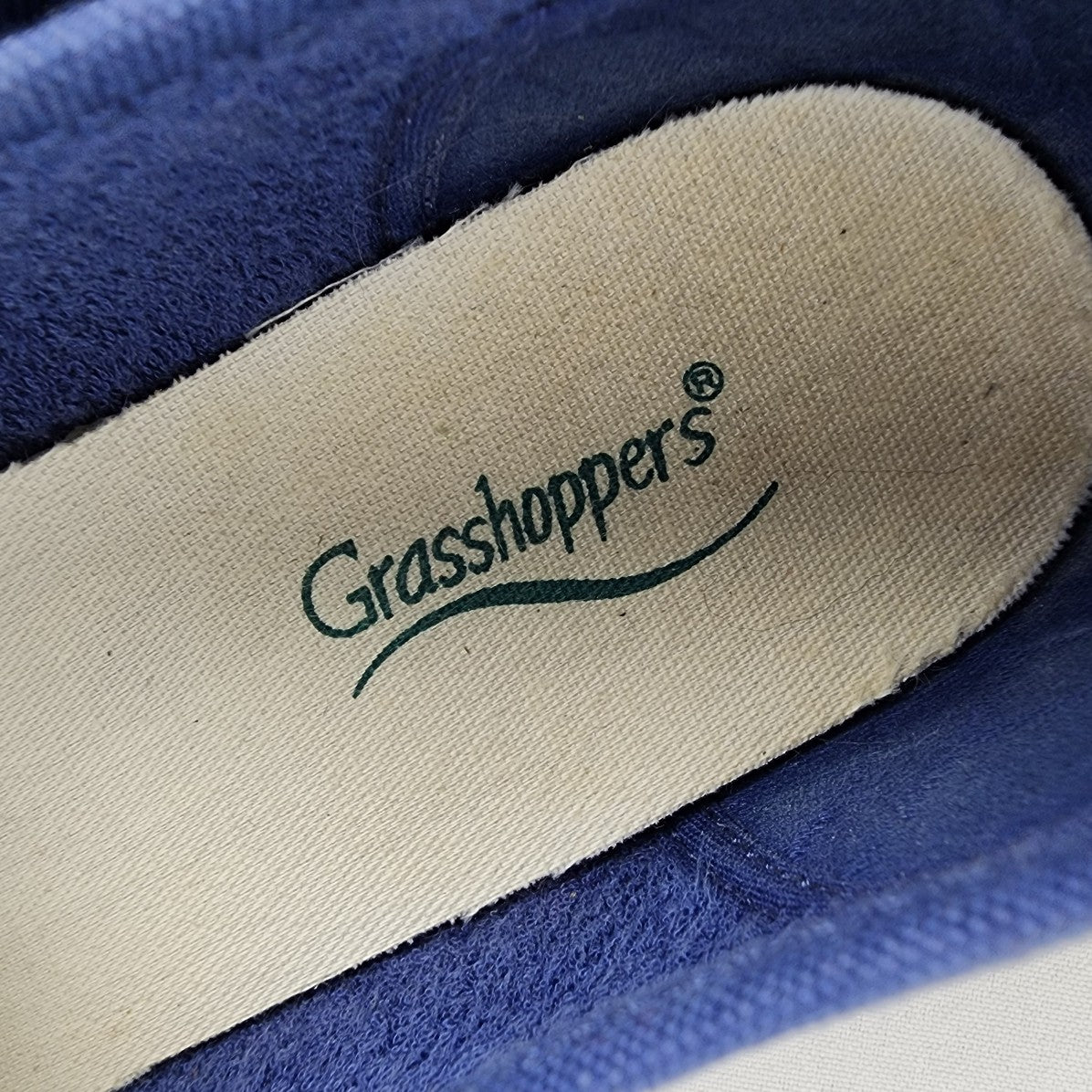 Grasshoppers Blue & White Canvas Slip On Shoes Size 7