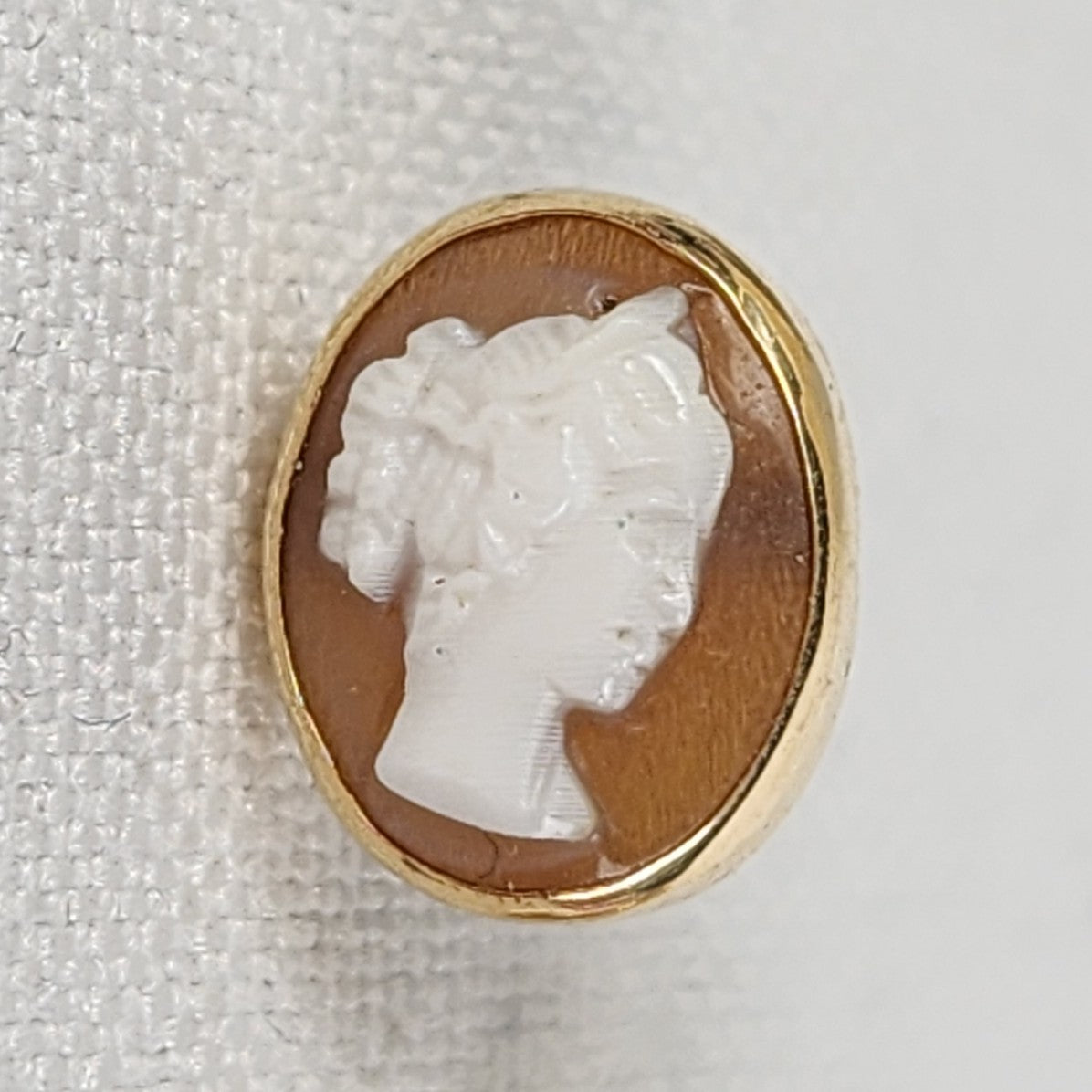 14K Gold Cameo Stud Earrings