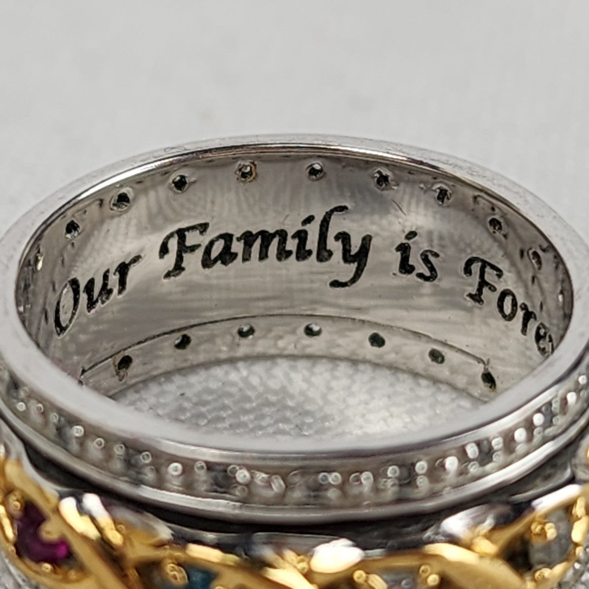 Family Is Forever Sterling Silver Plated Birthstone Spinning Ring Size 6.5