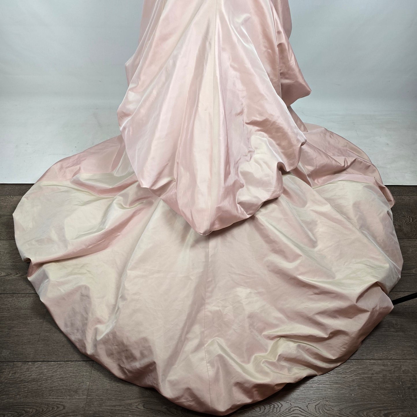 Raylia Designs Rose Beaded Metallic Wedding Eventwear Gown Size 8