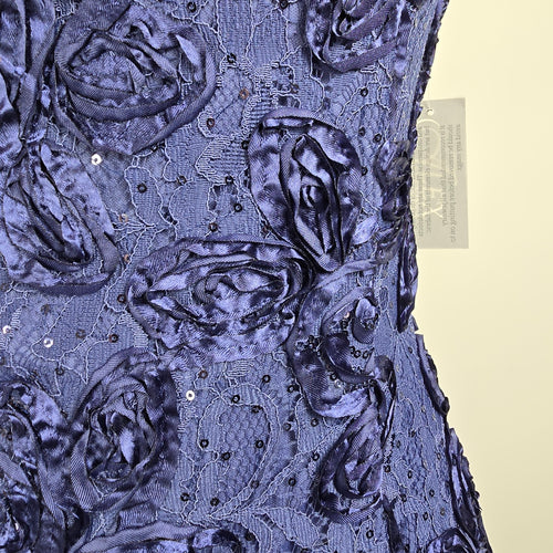 Alex Evenings Blue Floral Long Eventwear Gown Size 12