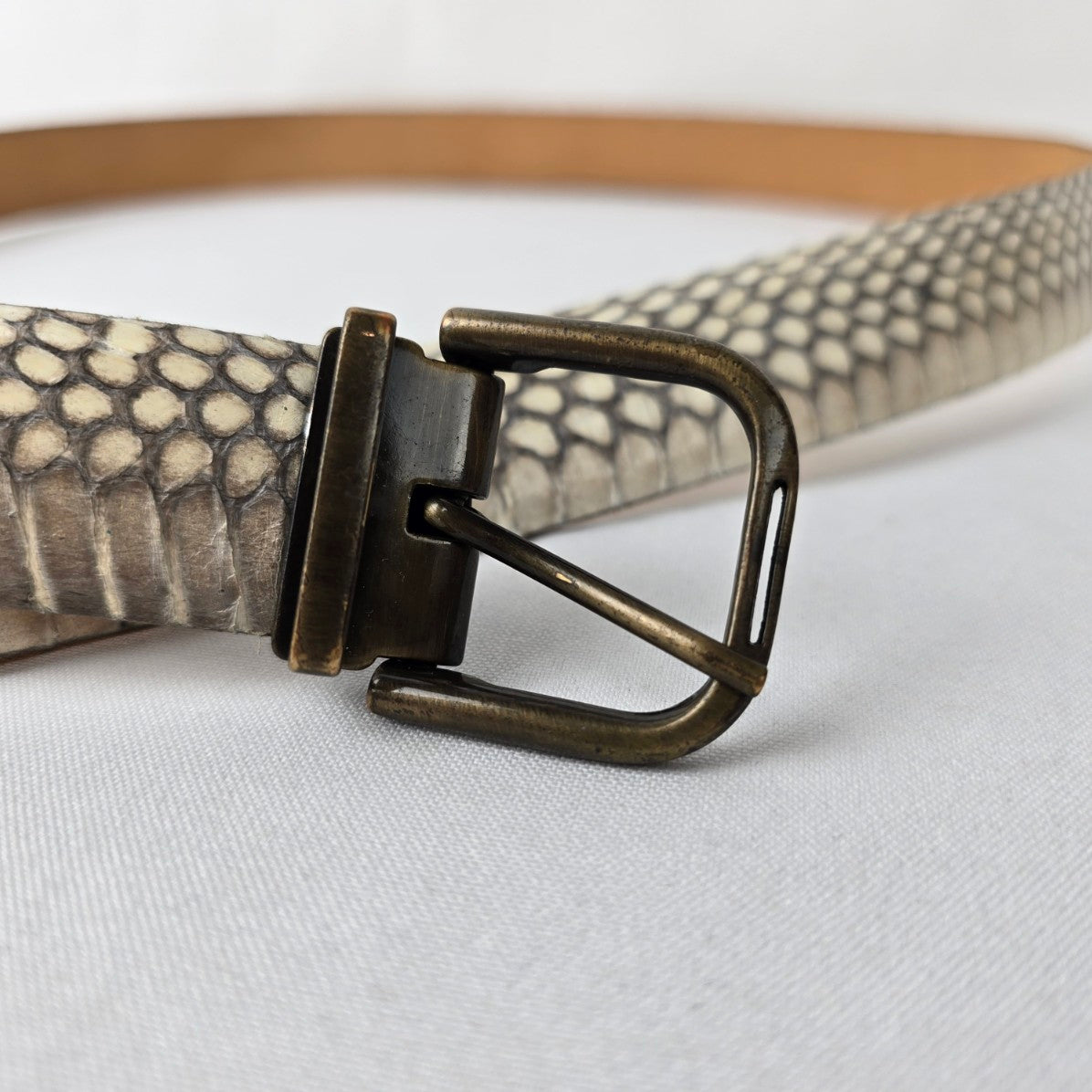 Italian Leather Snakeskin Embossed Belt Cream Brown Made in Italy Size L