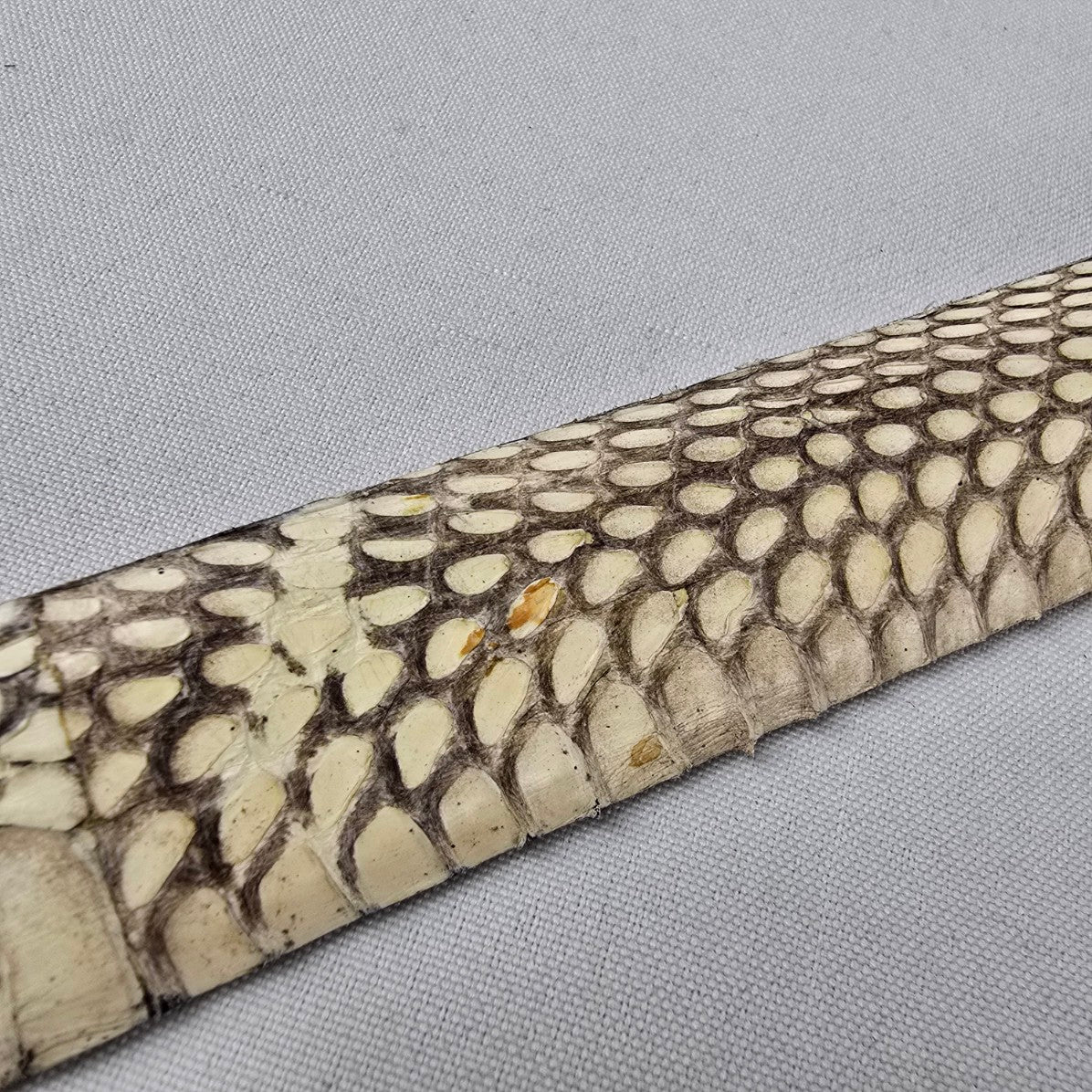 Italian Leather Snakeskin Embossed Belt Cream Brown Made in Italy Size L