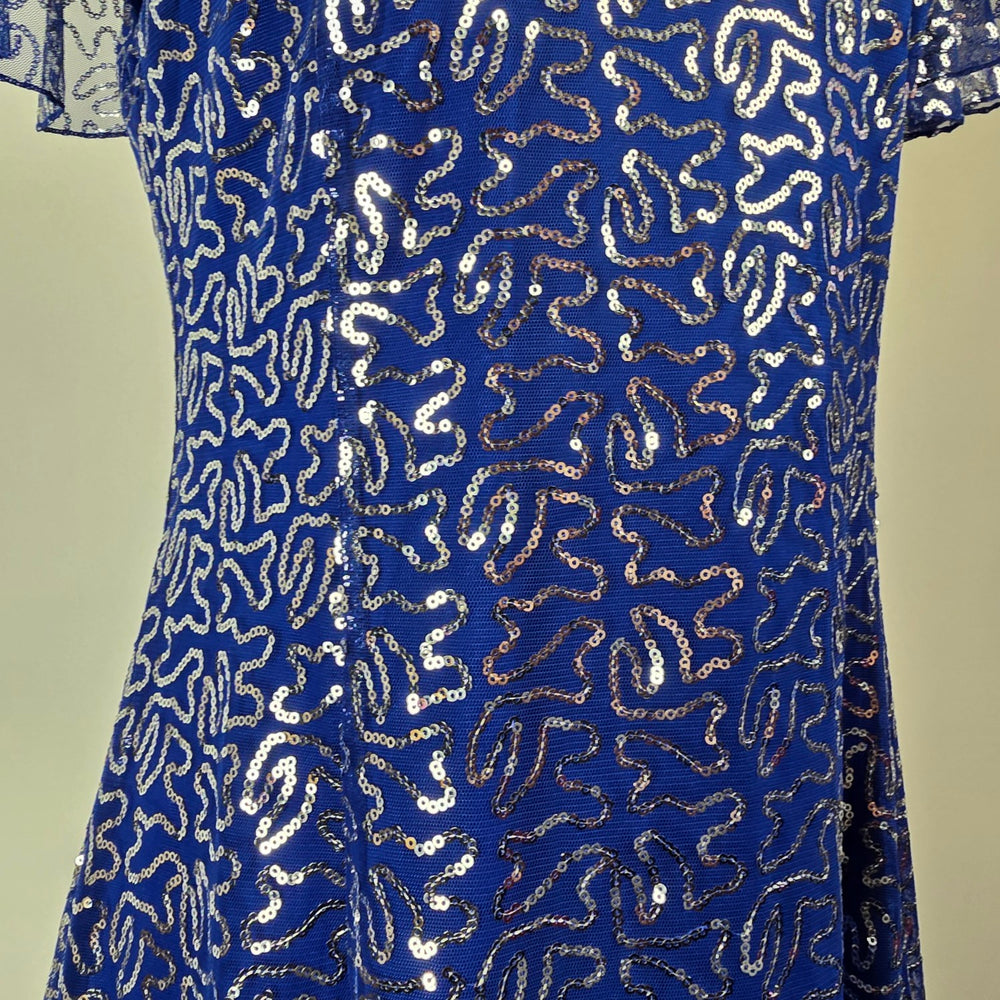 The Paragon Blue Sequin Fit & Flare Dress Size M