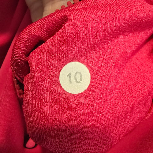 Lululemon Run For It Birds In Flight Pullover Hoodie Size 10 Pink