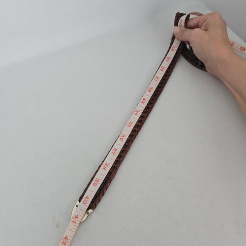 Fossil Brown Genuine Leather Woven Belt with Silver-Tone Buckle