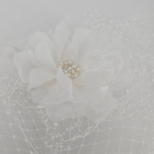Joshua B Designs Ivory Floral Birdcage Veil Fascinator Bridal Hair Comb
