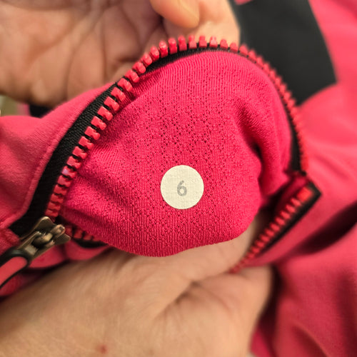 Lululemon Run For It Birds In Flight Pullover Pink Hoodie Size 6